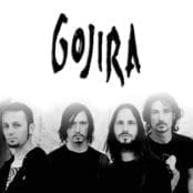 A picture of Gojira