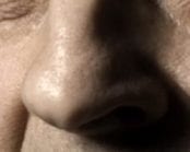 A picture of a nose