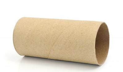 A picture of toilet roll