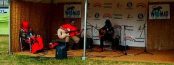 A picture of WOMAD 2013
