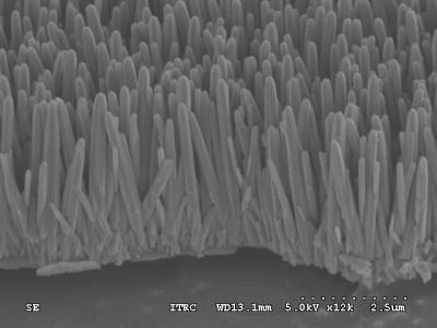 A picture of nanorods by Din Ping Tsai, National Taiwan University