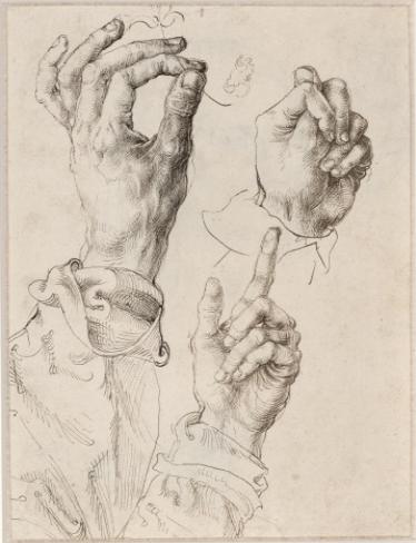 A picture by Albrecht Durer, Courtesy of the Courtauld Gallery