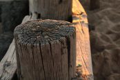 A picture of weathered wood by Sean Keenan