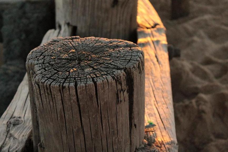 A picture of weathered wood by Sean Keenan