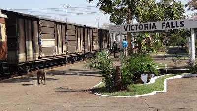 A picture of Rhodesian Rail's Zimbabwe train