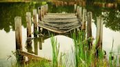 A picture of a lake pier by Tom Butler
