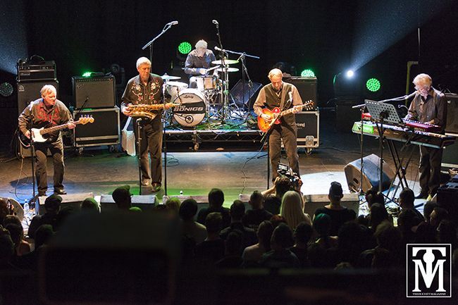 The Sonics at Koko, London, by Carl Batson