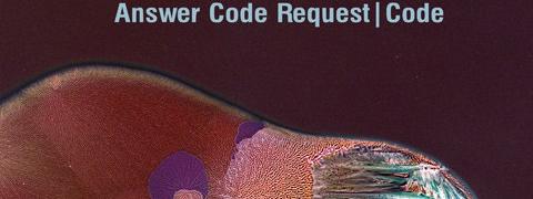 Code by Answer Code Request