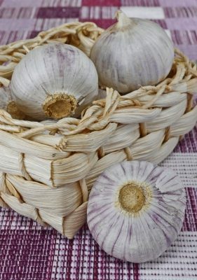 Garlic by Freedigitlphtoos.net and Mister GC