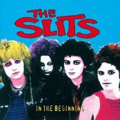 the-slits-in-the-beginning
