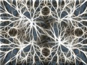 neurons by geralt