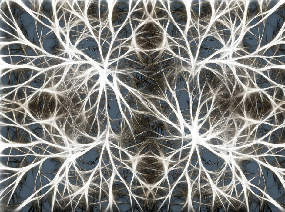 neurons by geralt