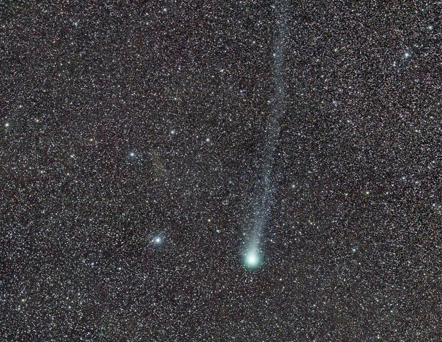 Comet Lovejoy by Fabric Noel