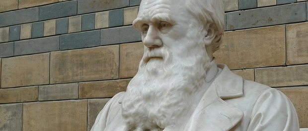 darwin statue