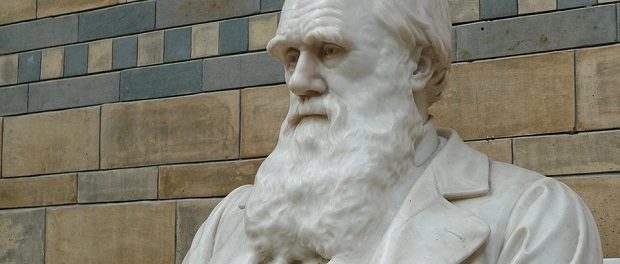 darwin statue
