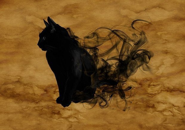 Cat, quantum surrealism