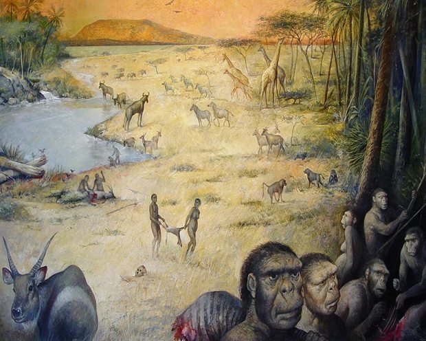 Human Ancestors