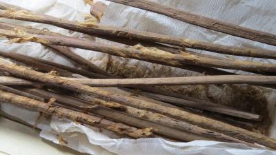 Hui-Yuan Yeh. Reproduced from the Journal of Archaeological Science: Reports.
