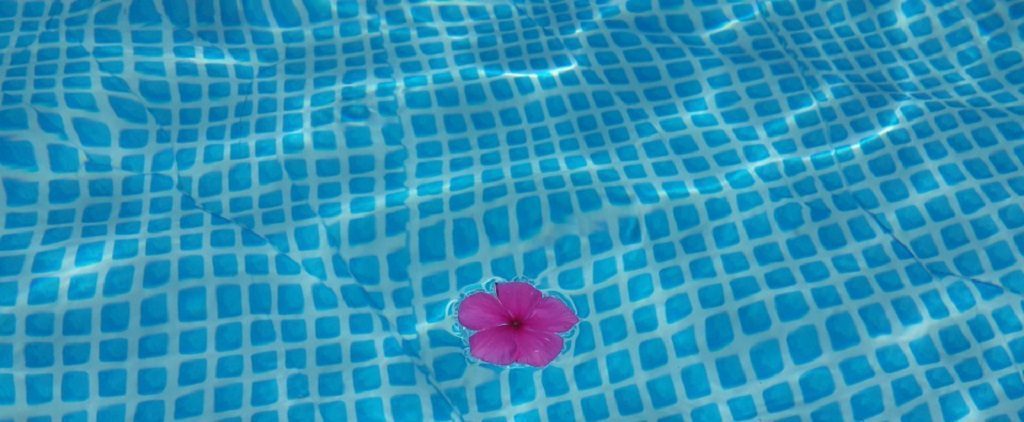 flower in pool by pixabay and alondav 1024