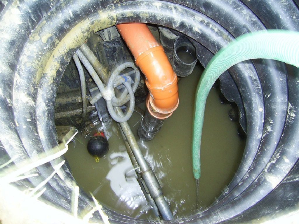 septic pipes, watery bowels
