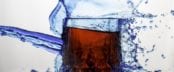 soft drink, sugar free