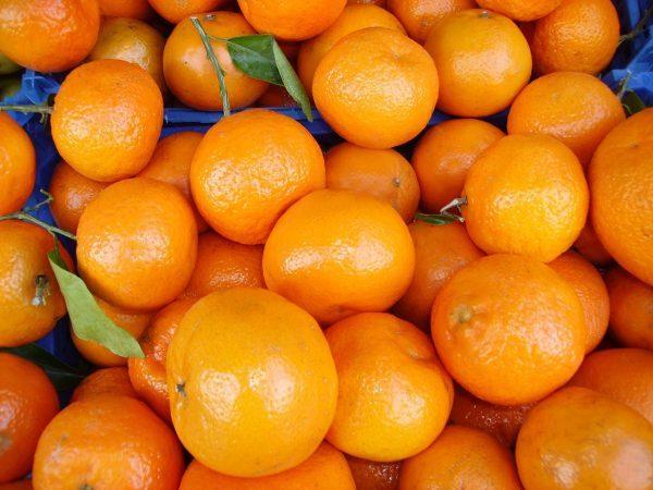 oranges, orange peel, water purification