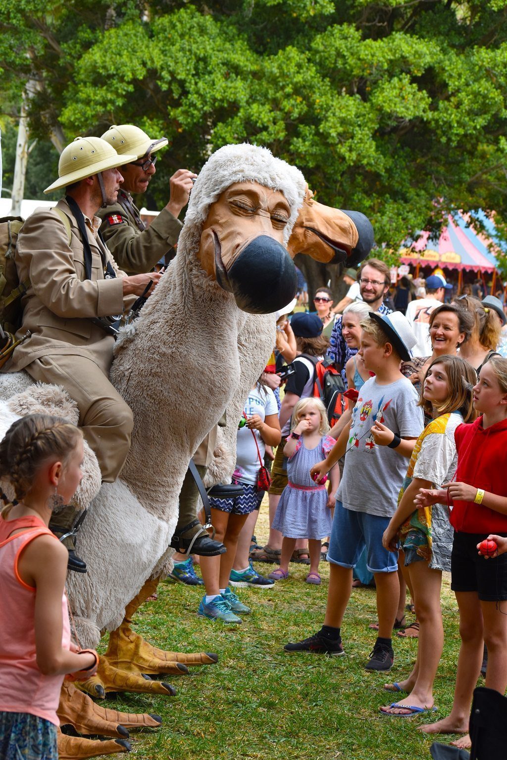 Womadelaide scenes