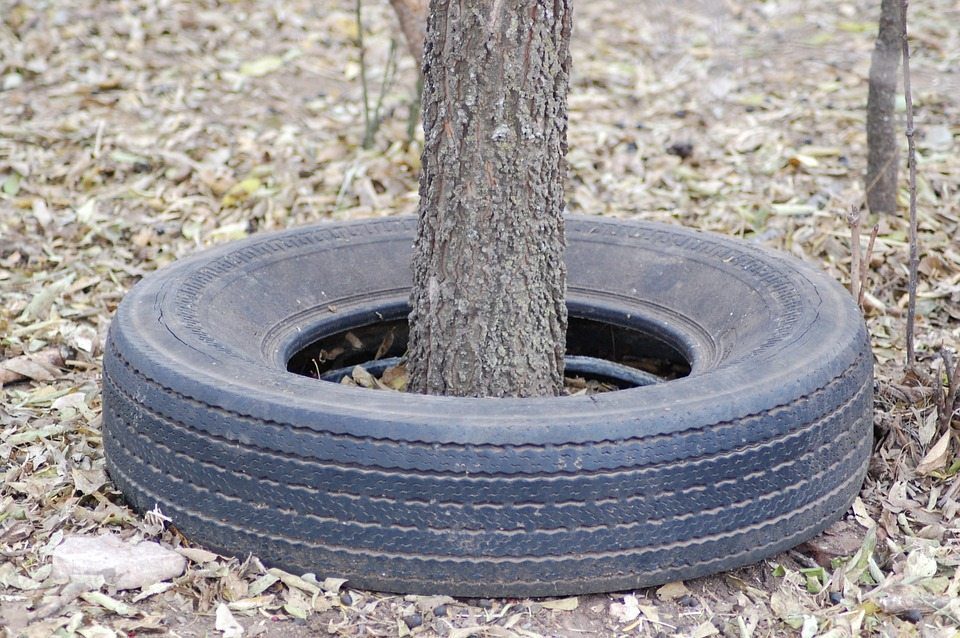 sustainable rubber