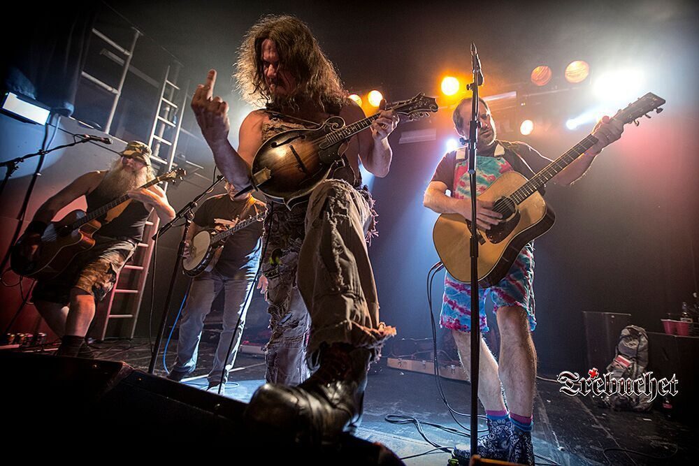 Hayseed Dixie