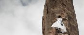 rock climbing, bouldering