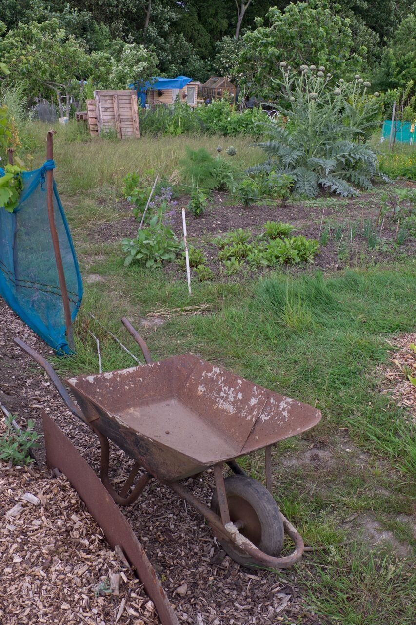 Jeremy Corbyn allotment