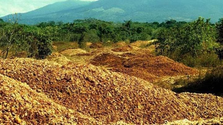 Orange peel, Costa Rica