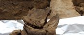 Earliest wine by Judyta Olszewski 1024