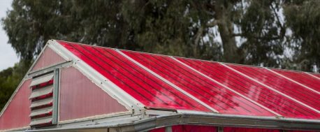 solar greenhouse