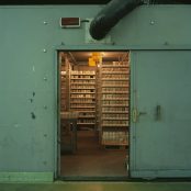 LNGS: Opera Archive. From Material Sight 2018 Fiona Crisp