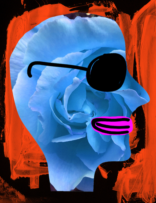 Huntley Muir, Blue Rose