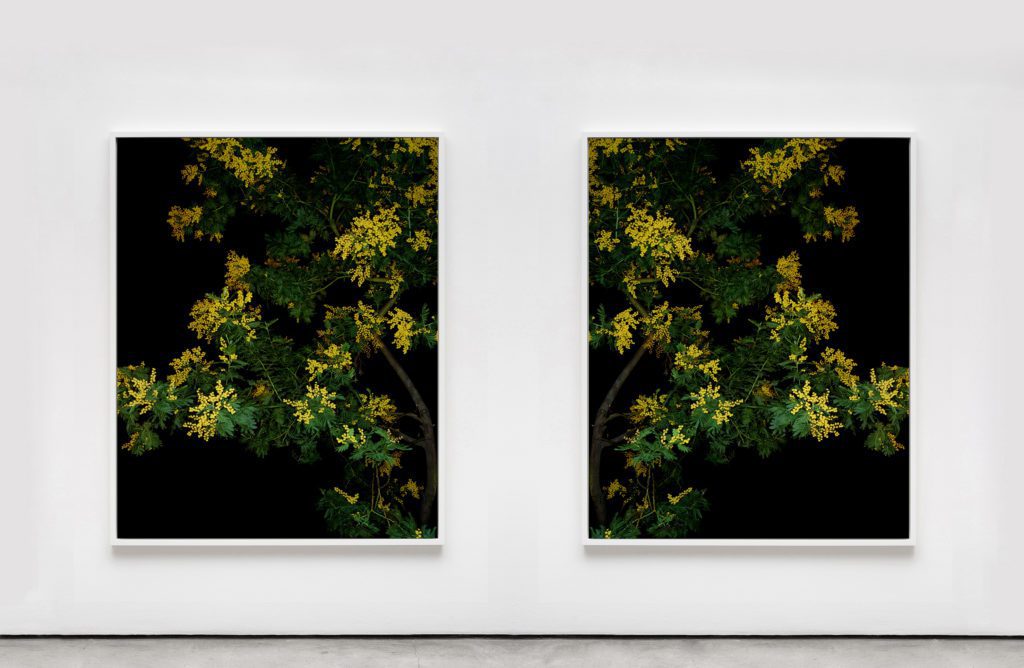 photographic diptych