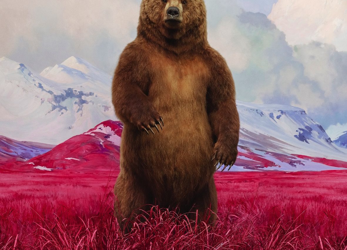 Jim Naughten, bear, 2021