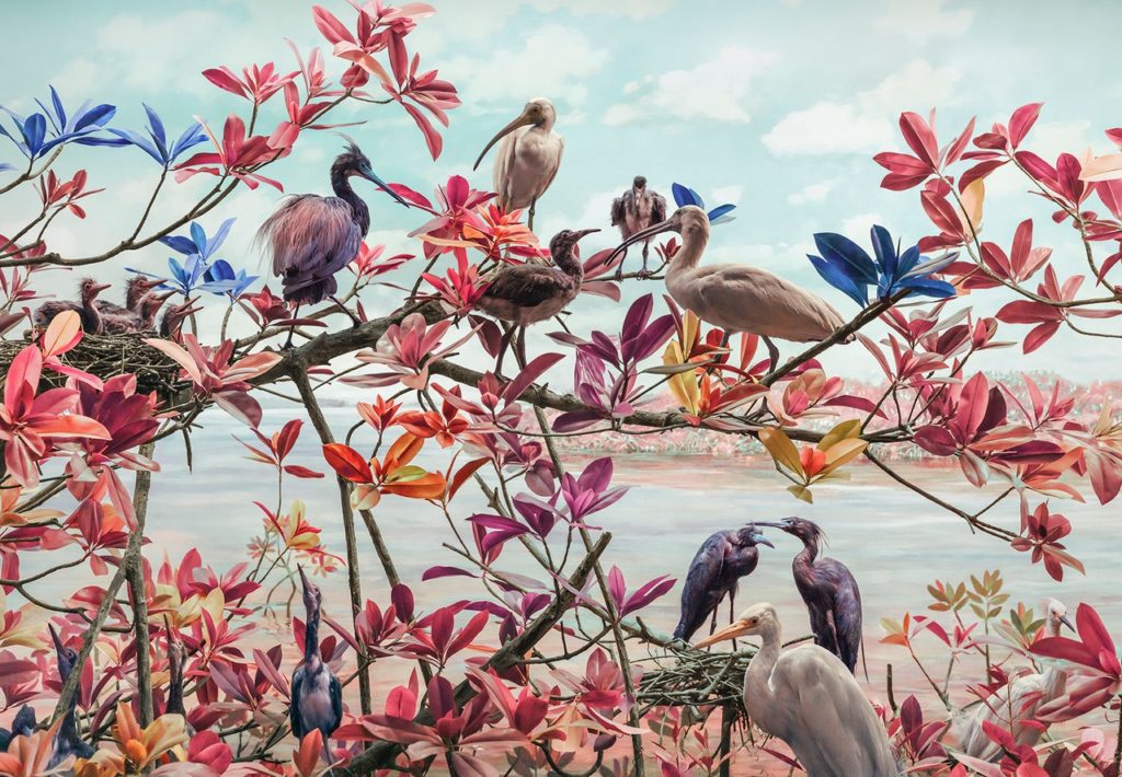 Jim Naughten, Birds, 2021