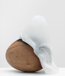 Rachel Rose, Burl Egg 2, 2021