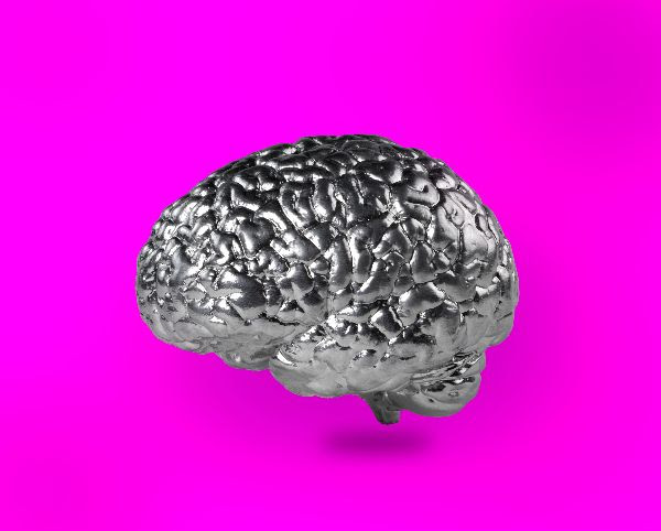 Rob & Nick Carter, Silver Lining, 2021. Silver paint on cast resin brain, 9.5 x 17 x 14cm