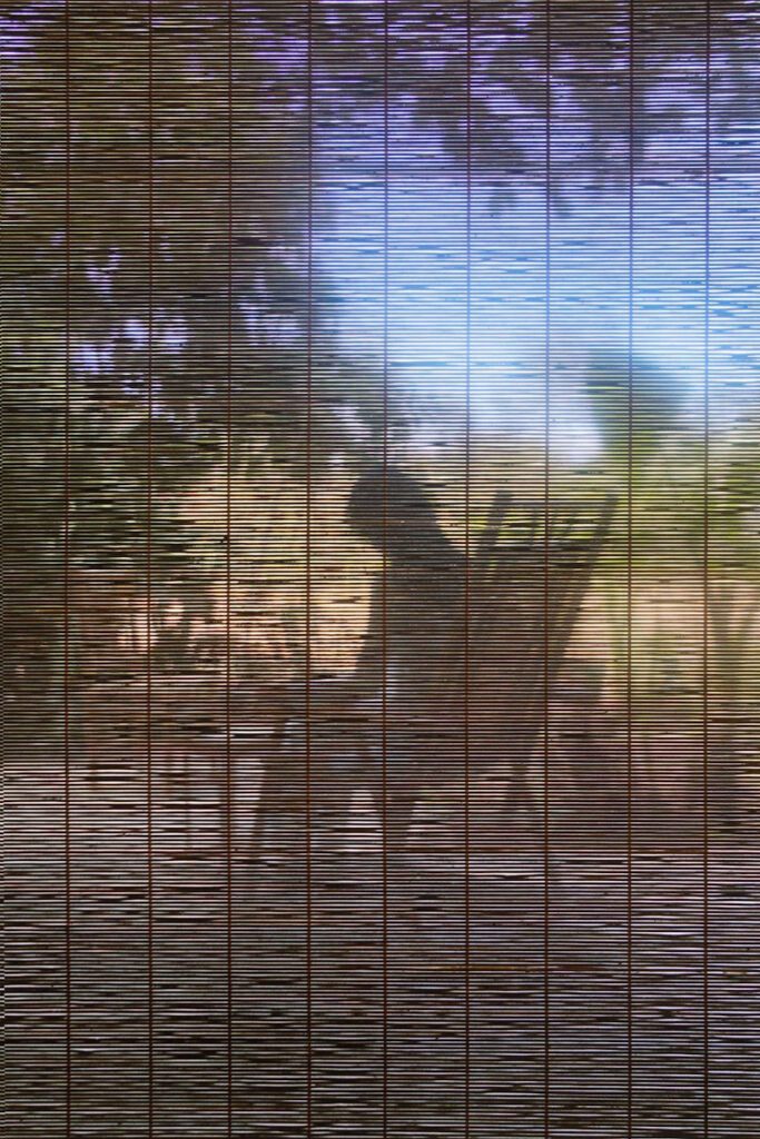 Thao Nguyen Phan, Reincarnations of Shadows (moving-image-poem), 2023 (video still) Commissioned by Pirelli HangarBicocca and co-produced by Fondazione In Between Art Film Courtesy the artist
