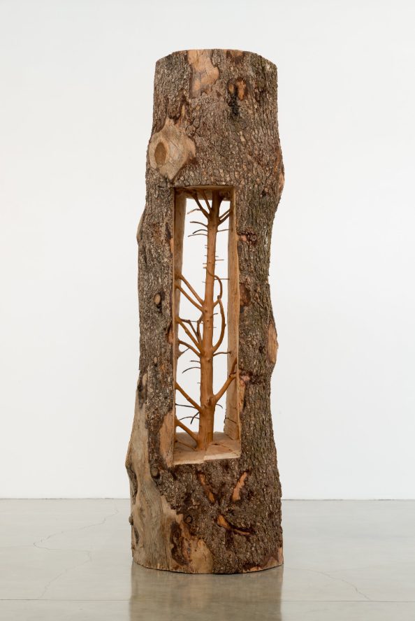 Giuseppe Penone, Ideas of Stone, 2008