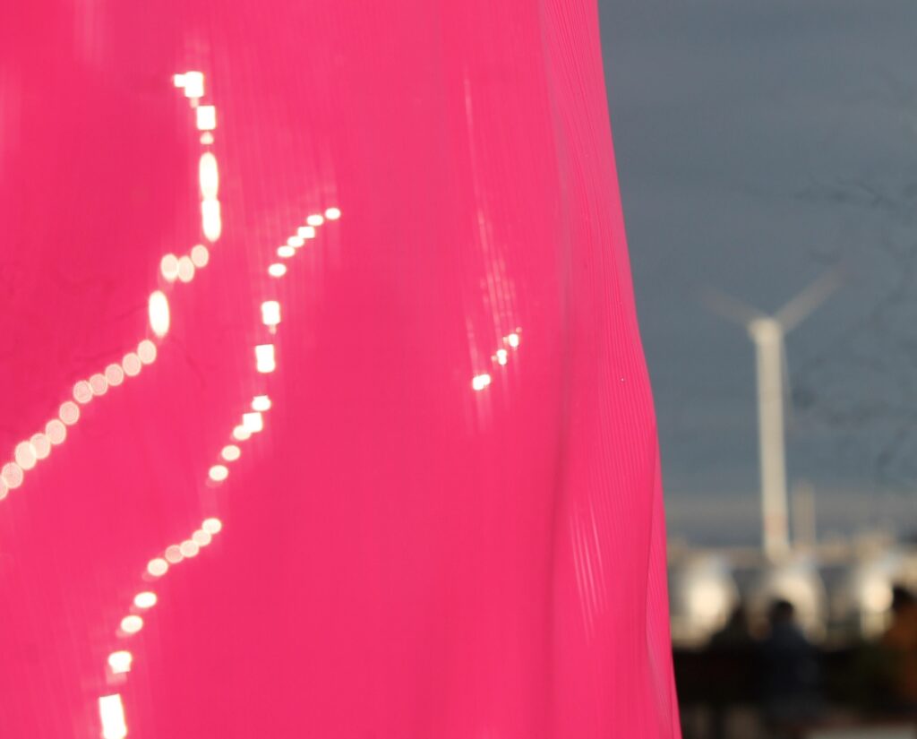 Close-up photo of LUAP 's Pink Bear in Hamburg