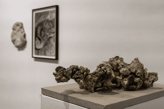 Exhibition detail from Bog Bodies at London Gallery Weekend. Photo by Julio Etchart