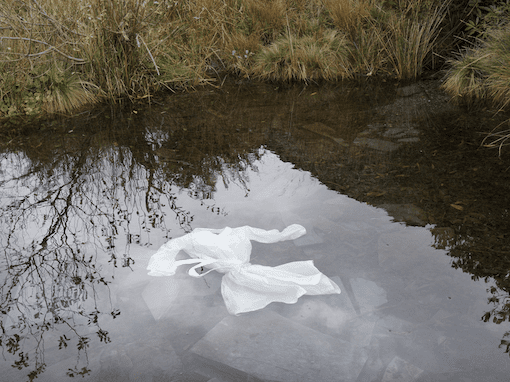 Image shows ghostly plastic bag in the shape of a dress floating in a pond. Image by MAP6_The Dark Sublime