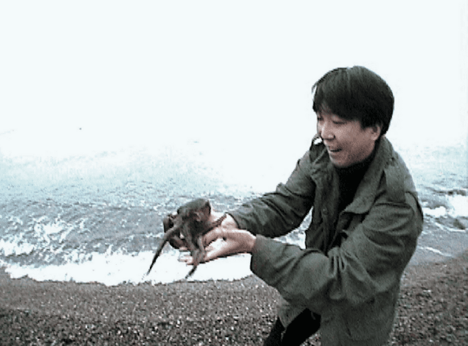 Image shows man holding octopus on beach. An artwork by Shimabuku