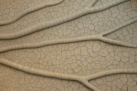 Image shows detail of sculpture by Andy Goldsworthy, Clay Tree Wall (2009). Photo courtesy Jupiter Artland