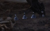 Pierre Huyghe, Camata II (Film Still) 2024.