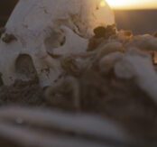 Pierre Huyghe, Camata II, (Film Still) 2024.